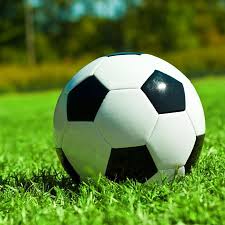 体育爱好者使用竞彩计算器