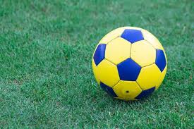 球队教练使用数据分析